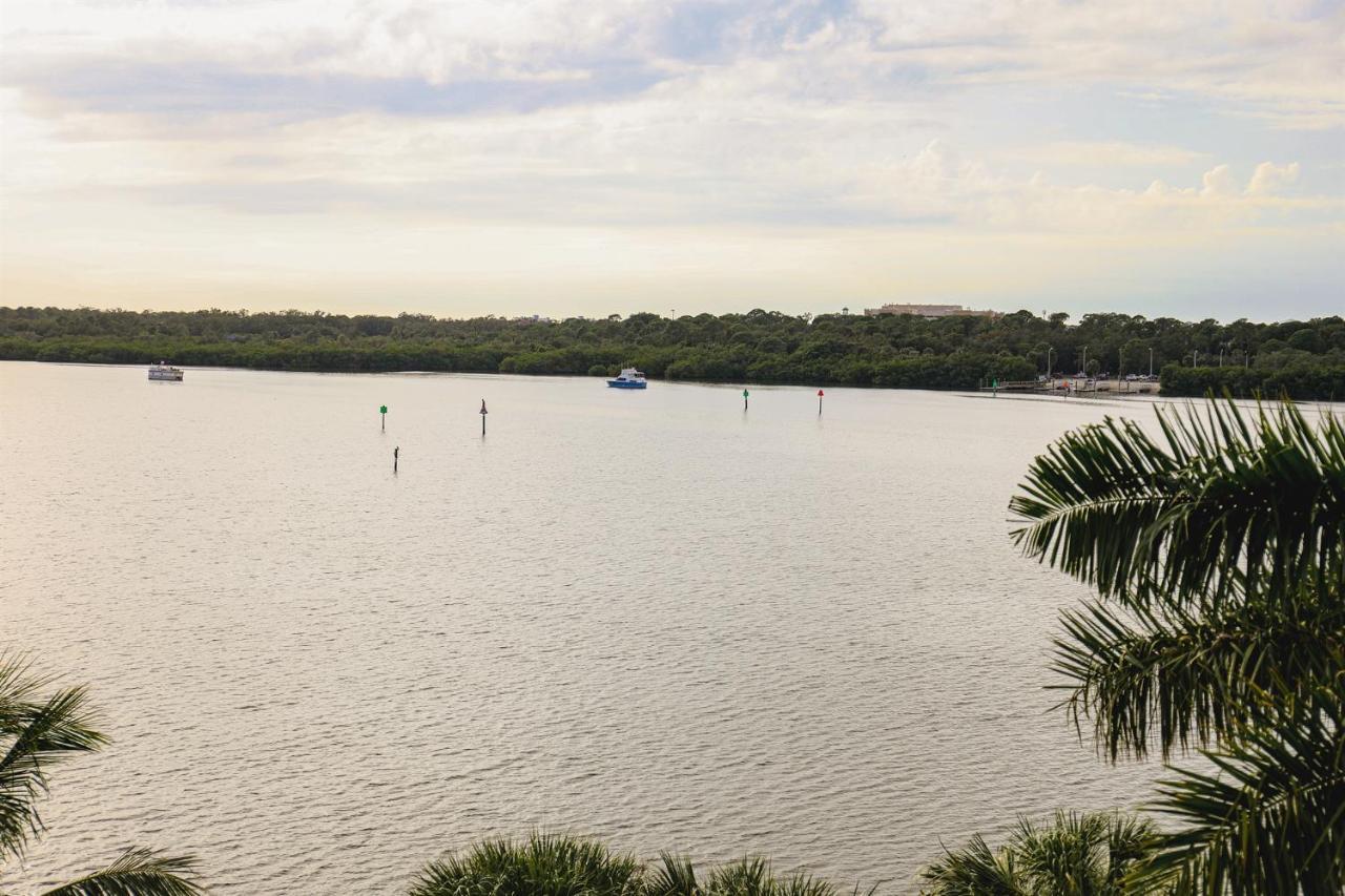 Dolphin Bay In Boca Ciega Resort - 2Br, Pool, Bay View St. Petersburg Exteriör bild